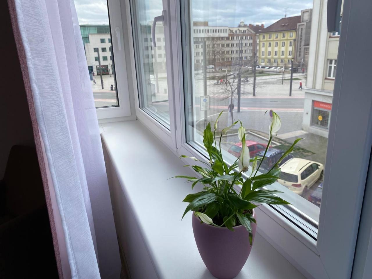 Hradec KrálovéPerla Hradce 202アパートメント エクステリア 写真