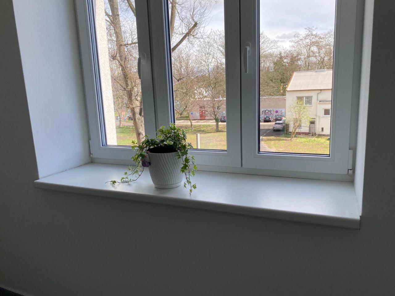 Hradec KrálovéPerla Hradce 202アパートメント エクステリア 写真